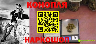 мяу мяу мука Лесосибирск